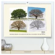 Vier Jahreszeiten der Eiche. (hochwertiger Premium Wandkalender 2024 DIN A2 quer), Kunstdruck in Hochglanz