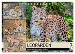Leoparden. Geschmeidig, kräftig und klug (Tischkalender 2024 DIN A5 quer), CALVENDO Monatskalender
