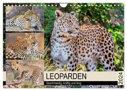 Leoparden. Geschmeidig, kräftig und klug (Wandkalender 2024 DIN A4 quer), CALVENDO Monatskalender