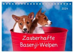 Zauberhafte Basenji-Welpen (Tischkalender 2024 DIN A5 quer), CALVENDO Monatskalender