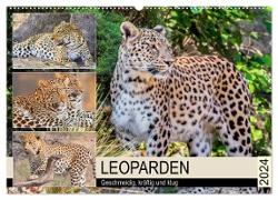 Leoparden. Geschmeidig, kräftig und klug (Wandkalender 2024 DIN A2 quer), CALVENDO Monatskalender