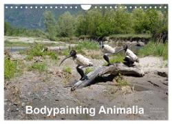 Bodypainting Animalia (Wandkalender 2024 DIN A4 quer), CALVENDO Monatskalender