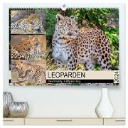 Leoparden. Geschmeidig, kräftig und klug (hochwertiger Premium Wandkalender 2024 DIN A2 quer), Kunstdruck in Hochglanz