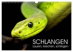 Schlangen. Lauern, kriechen, schlingen (Wandkalender 2024 DIN A3 quer), CALVENDO Monatskalender