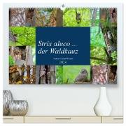 Strix aluco ... der Waldkauz (hochwertiger Premium Wandkalender 2024 DIN A2 quer), Kunstdruck in Hochglanz