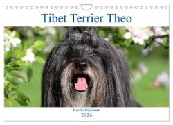 Tibet Terrier Theo (Wandkalender 2024 DIN A4 quer), CALVENDO Monatskalender