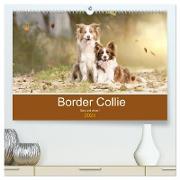 Border Collie - Bunt und clever! (hochwertiger Premium Wandkalender 2024 DIN A2 quer), Kunstdruck in Hochglanz
