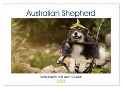 Australian Shepherd - volle Power mit dem Aussie (Wandkalender 2024 DIN A2 quer), CALVENDO Monatskalender