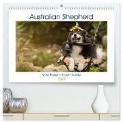 Australian Shepherd - volle Power mit dem Aussie (hochwertiger Premium Wandkalender 2024 DIN A2 quer), Kunstdruck in Hochglanz