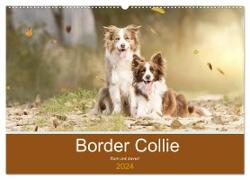 Border Collie - Bunt und clever! (Wandkalender 2024 DIN A2 quer), CALVENDO Monatskalender