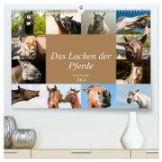 Das Lachen der Pferde - Lustige Gesichter (hochwertiger Premium Wandkalender 2024 DIN A2 quer), Kunstdruck in Hochglanz