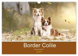 Border Collie - Bunt und clever! (Wandkalender 2024 DIN A3 quer), CALVENDO Monatskalender