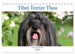 Tibet Terrier Theo (Tischkalender 2024 DIN A5 quer), CALVENDO Monatskalender
