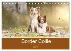 Border Collie - Bunt und clever! (Tischkalender 2024 DIN A5 quer), CALVENDO Monatskalender