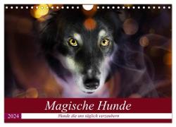 Magische Hunde - Hunde die uns täglich verzaubern (Wandkalender 2024 DIN A4 quer), CALVENDO Monatskalender