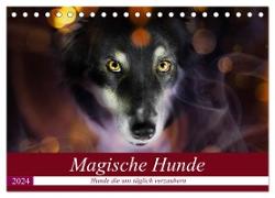 Magische Hunde - Hunde die uns täglich verzaubern (Tischkalender 2024 DIN A5 quer), CALVENDO Monatskalender