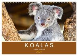 Koalas, putzige Gesellen (Wandkalender 2024 DIN A3 quer), CALVENDO Monatskalender