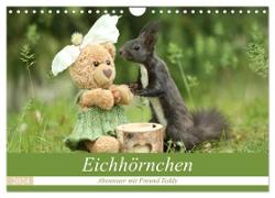 Eichhörnchen - Abenteuer mit Freund Teddy (Wandkalender 2024 DIN A4 quer), CALVENDO Monatskalender