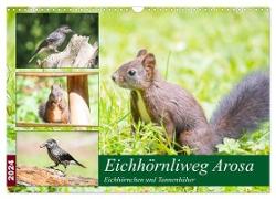 Eichhörnliweg Arosa - Eichhörnchen und Tannenhäher (Wandkalender 2024 DIN A3 quer), CALVENDO Monatskalender