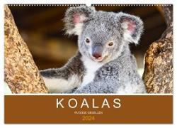 Koalas, putzige Gesellen (Wandkalender 2024 DIN A2 quer), CALVENDO Monatskalender