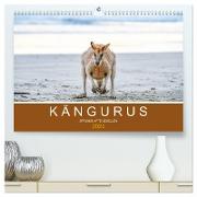 Kängurus, sprunghafte Gesellen (hochwertiger Premium Wandkalender 2024 DIN A2 quer), Kunstdruck in Hochglanz