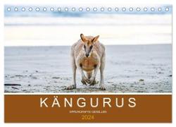 Kängurus, sprunghafte Gesellen (Tischkalender 2024 DIN A5 quer), CALVENDO Monatskalender