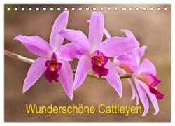 Wunderschöne Cattleyen (Tischkalender 2024 DIN A5 quer), CALVENDO Monatskalender