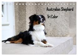 Australian Shepherd Tri Color (Tischkalender 2024 DIN A5 quer), CALVENDO Monatskalender