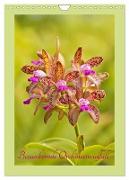Bezaubernde Orchideenvielfalt (Wandkalender 2024 DIN A4 hoch), CALVENDO Monatskalender