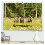 Braunbären in Europa (hochwertiger Premium Wandkalender 2024 DIN A2 quer), Kunstdruck in Hochglanz