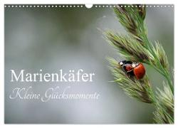 Marienkäfer - kleine Glücksmomente (Wandkalender 2024 DIN A3 quer), CALVENDO Monatskalender