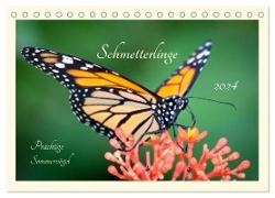 Wunderwelt der Schmetterlinge 2024 Prächtige Sommervögel (Tischkalender 2024 DIN A5 quer), CALVENDO Monatskalender