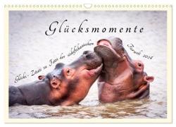 Glücksmomente Glücks-Zitate zu Fotos der großartigen südafrikanischen Tierwelt (Wandkalender 2024 DIN A3 quer), CALVENDO Monatskalender
