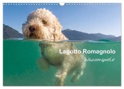 Lagotto Romagnolo - Wasserspiele (Wandkalender 2024 DIN A3 quer), CALVENDO Monatskalender