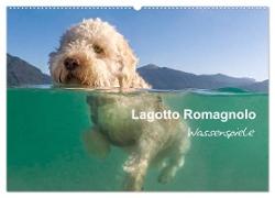 Lagotto Romagnolo - Wasserspiele (Wandkalender 2024 DIN A2 quer), CALVENDO Monatskalender