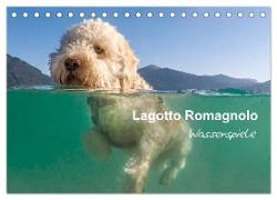 Lagotto Romagnolo - Wasserspiele (Tischkalender 2024 DIN A5 quer), CALVENDO Monatskalender