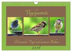 Vogelporträts - Heimische Vögel auf meinem Balkon (Wandkalender 2024 DIN A4 quer), CALVENDO Monatskalender