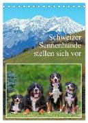 Schweizer Sennenhunde stellen sich vor (Tischkalender 2024 DIN A5 hoch), CALVENDO Monatskalender