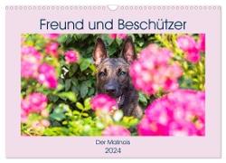 Freund und Beschützer - Der Malinois (Wandkalender 2024 DIN A3 quer), CALVENDO Monatskalender