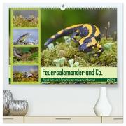 Feuersalamander und Co. (hochwertiger Premium Wandkalender 2024 DIN A2 quer), Kunstdruck in Hochglanz