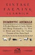 Domestic Animals - A Pocket Manual of Cattle, Horse, and Sheep Husbandry, Or, How to Breed and Rear the Various Tenants of the Barn-Yard
