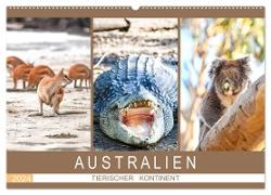Australien, tierischer Kontinent (Wandkalender 2024 DIN A2 quer), CALVENDO Monatskalender