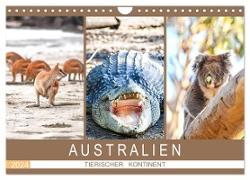Australien, tierischer Kontinent (Wandkalender 2024 DIN A4 quer), CALVENDO Monatskalender