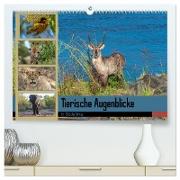 Tierische Augenblicke in Südafrika (hochwertiger Premium Wandkalender 2024 DIN A2 quer), Kunstdruck in Hochglanz