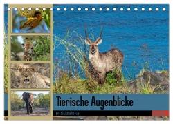 Tierische Augenblicke in Südafrika (Tischkalender 2024 DIN A5 quer), CALVENDO Monatskalender