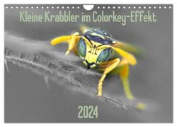 Kleine Krabbler im Colorkey-Effekt (Wandkalender 2024 DIN A4 quer), CALVENDO Monatskalender