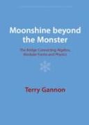 Moonshine beyond the Monster