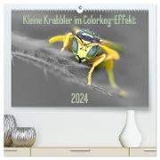 Kleine Krabbler im Colorkey-Effekt (hochwertiger Premium Wandkalender 2024 DIN A2 quer), Kunstdruck in Hochglanz