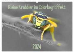 Kleine Krabbler im Colorkey-Effekt (Wandkalender 2024 DIN A2 quer), CALVENDO Monatskalender