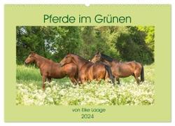 Pferde im Grünen (Wandkalender 2024 DIN A2 quer), CALVENDO Monatskalender